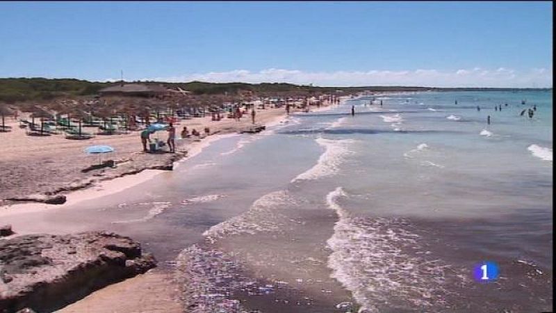 Continua la massificació de cotxes a Es Trenc