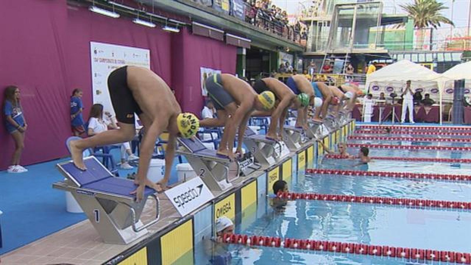 Campeonato de Natación | Ver