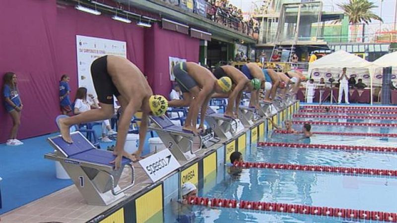 Campeonato de Natación | Ver