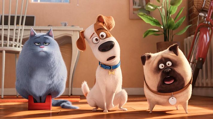 Cultura en Rtve.es - RTVE.es os ofrece un clip en primicia de 'Mascotas'