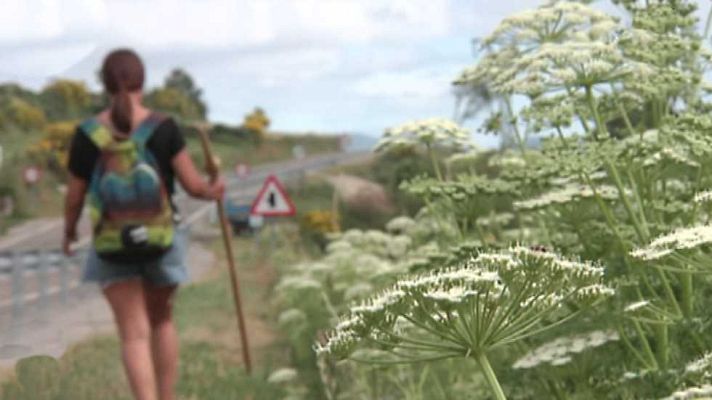 España Directo - España Directo - 19/07/16