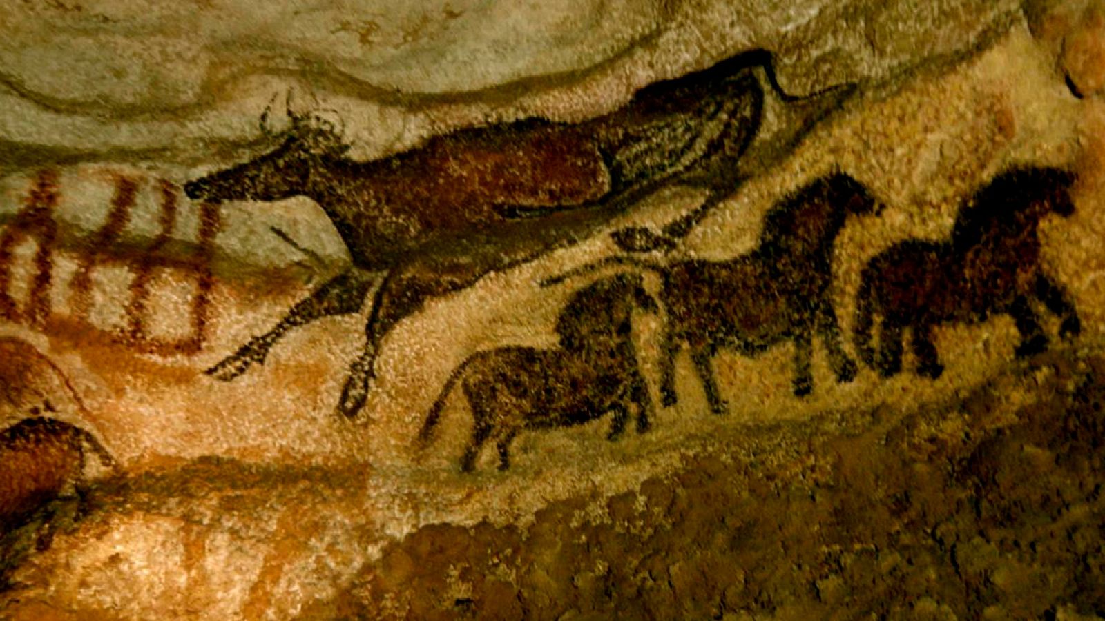 Documenta2 - Cuando el homo sapiens hacía cine  ver ahora