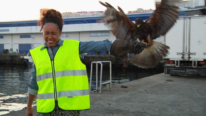Aquí la Tierra - ¿Qué hace un halcón en el puerto de Vigo?