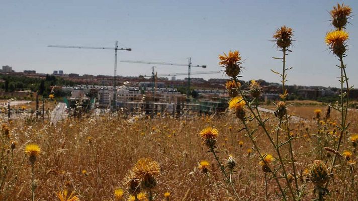 Informativo de Madrid - El Tiempo en la Comunidad de Madrid - 20/07/16