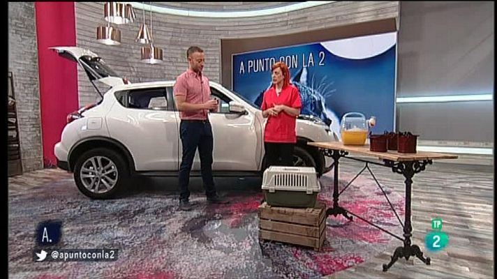 A punto con La 2 - Cómo transportar las mascotas