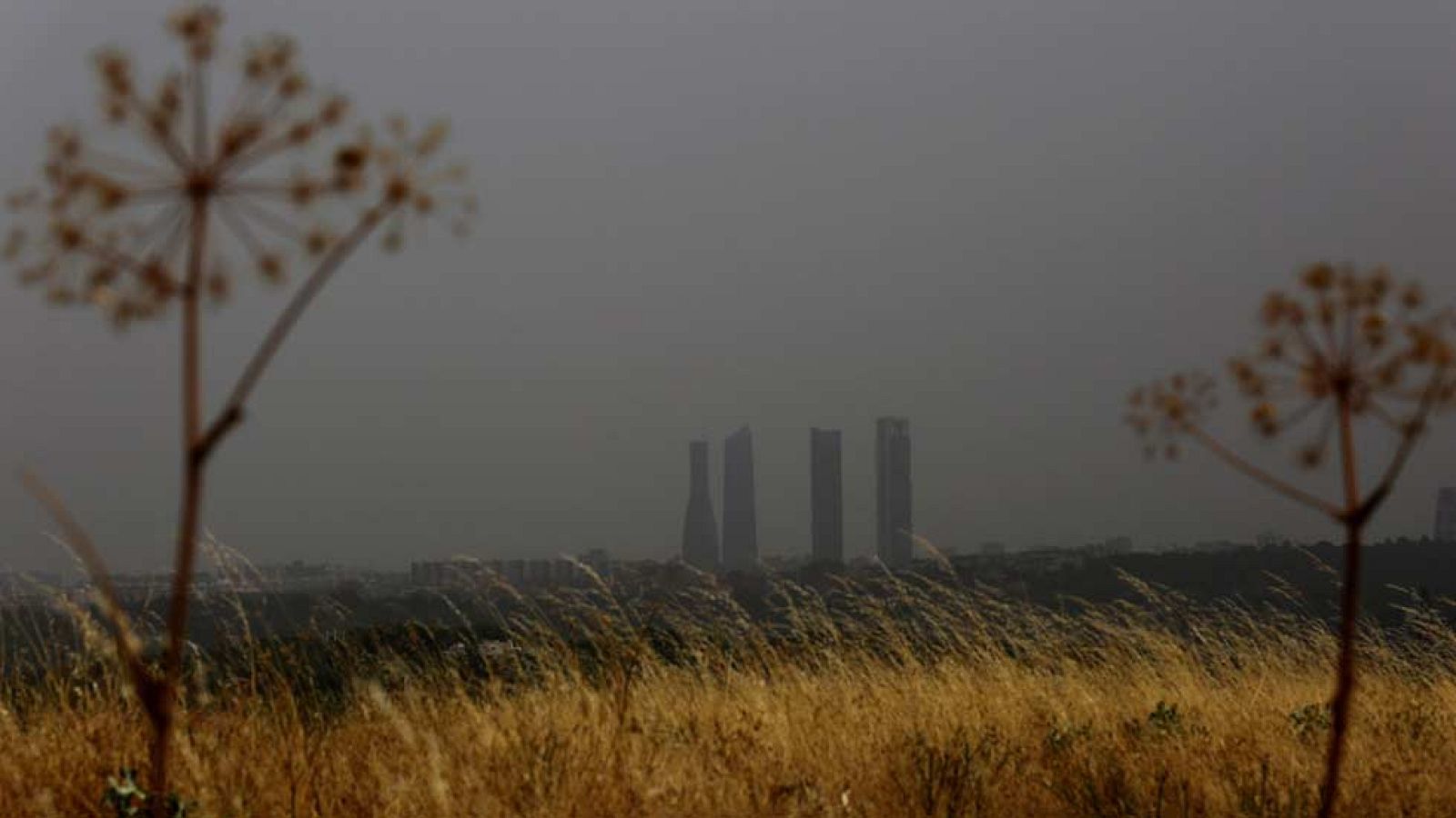 El Tiempo en la Comunidad de Madrid - 21/07/16