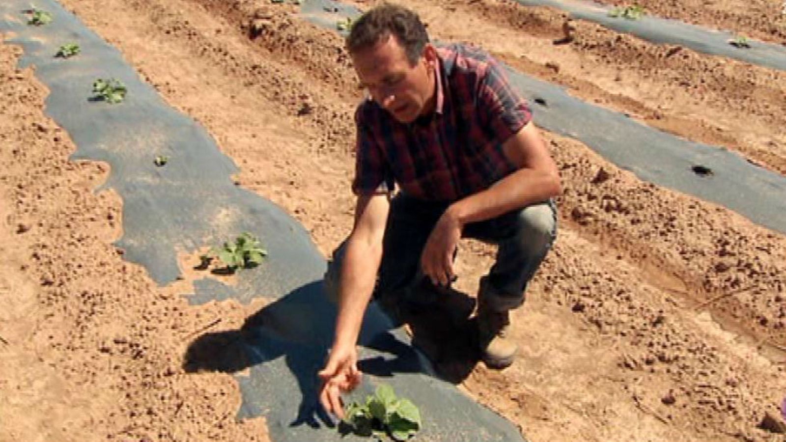 En verano ¡nos dan calabazas!