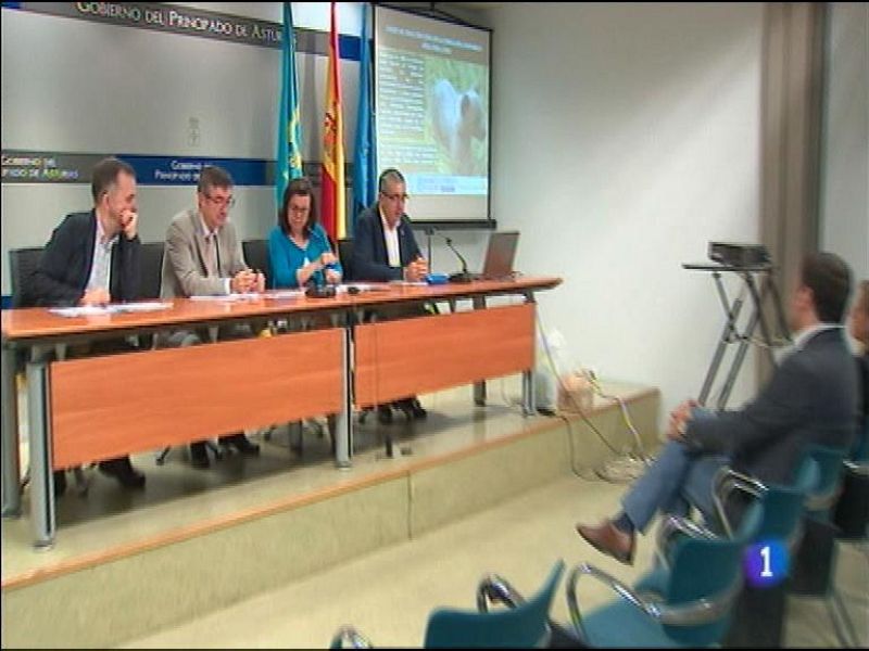 Panorama Regional 2 - 21/07/16 | Ver