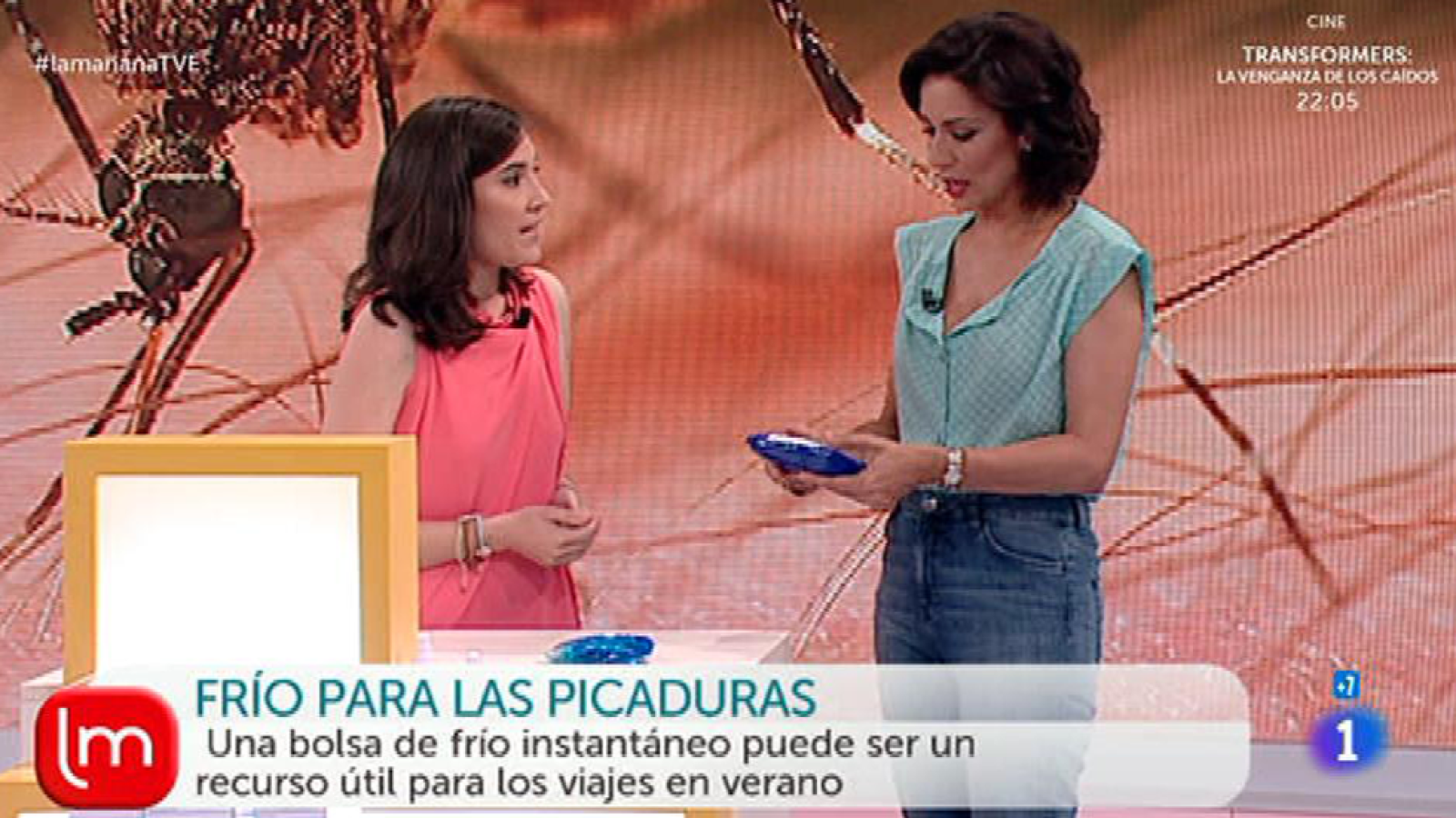 Saber Vivir - ¿Cómo protegernos de los mosquitos?