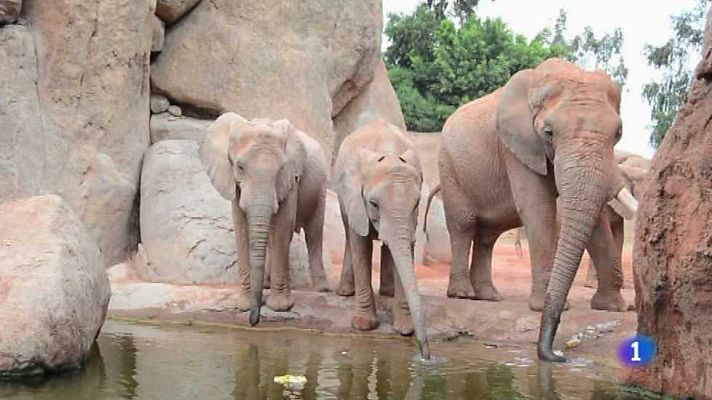 L'informatiu - Comunitat Valenciana - La Comunidad Valenciana en 2' - 22/07/16