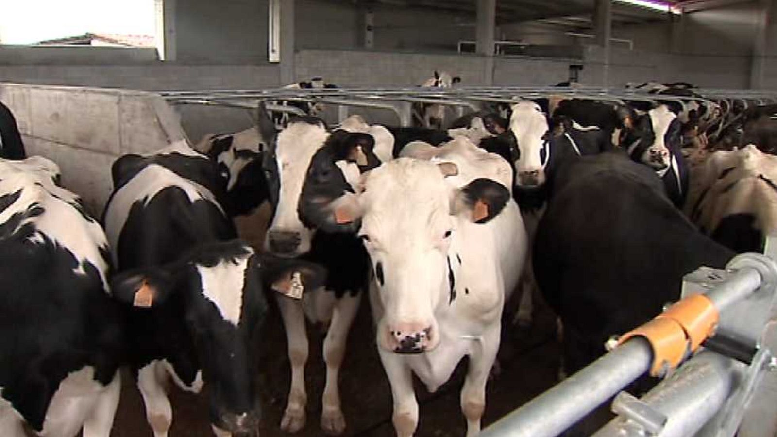 Agrosfera - 23/07/16 - ver ahora