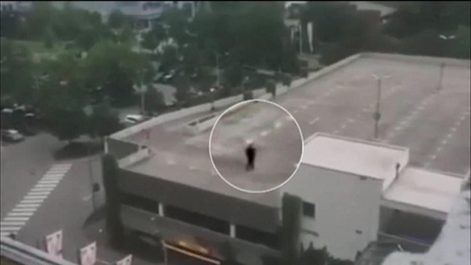 El atacante de Múnich: "Me han acosado durante siete años y voy a cargarme a todos" - Telediario 1 | Ver