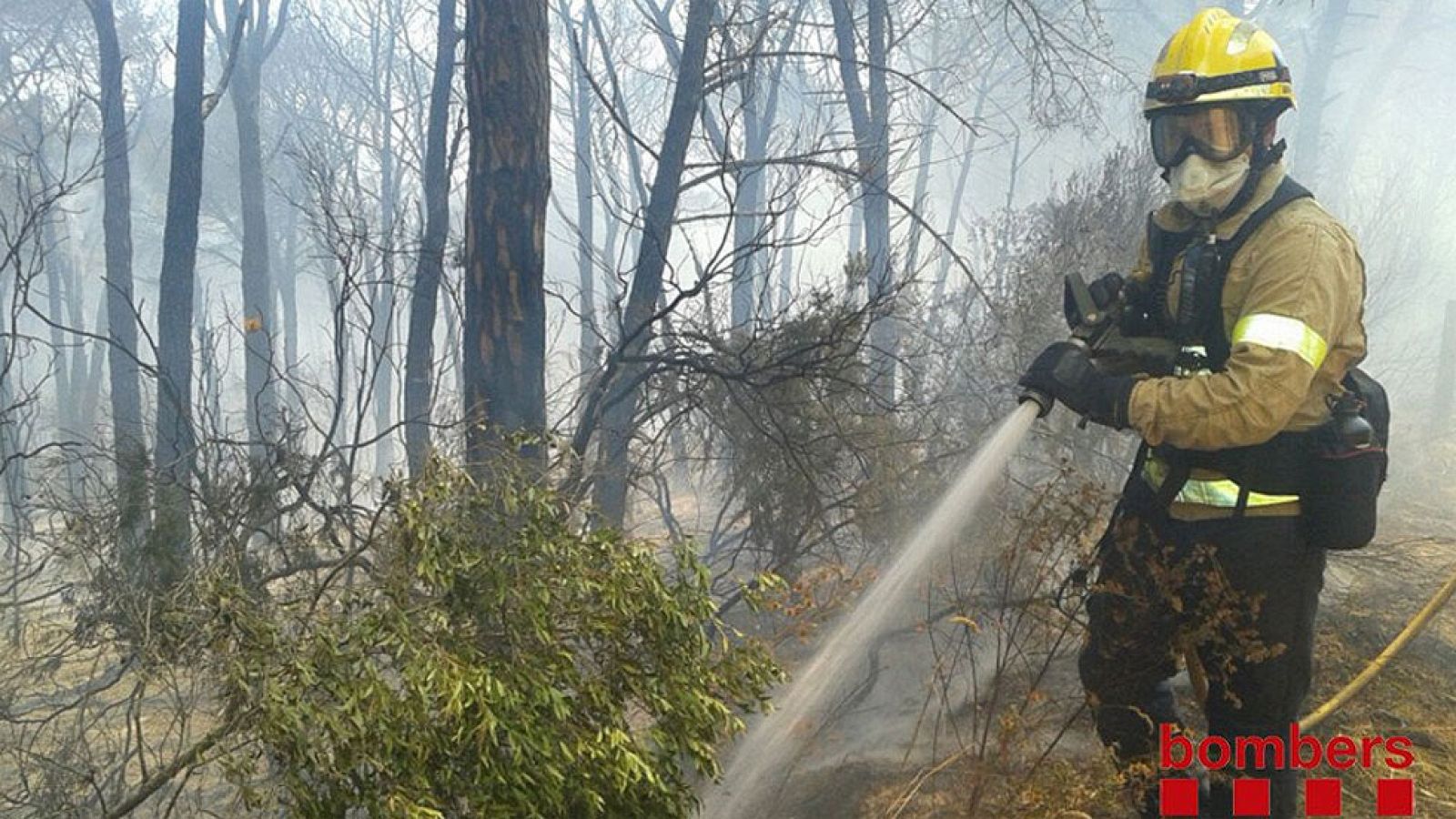 Varias urbanizaciones desalojadas por un incendio forestal en Blanes