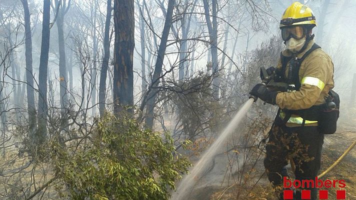  - Varias urbanizaciones desalojadas por un incendio forestal en Blanes