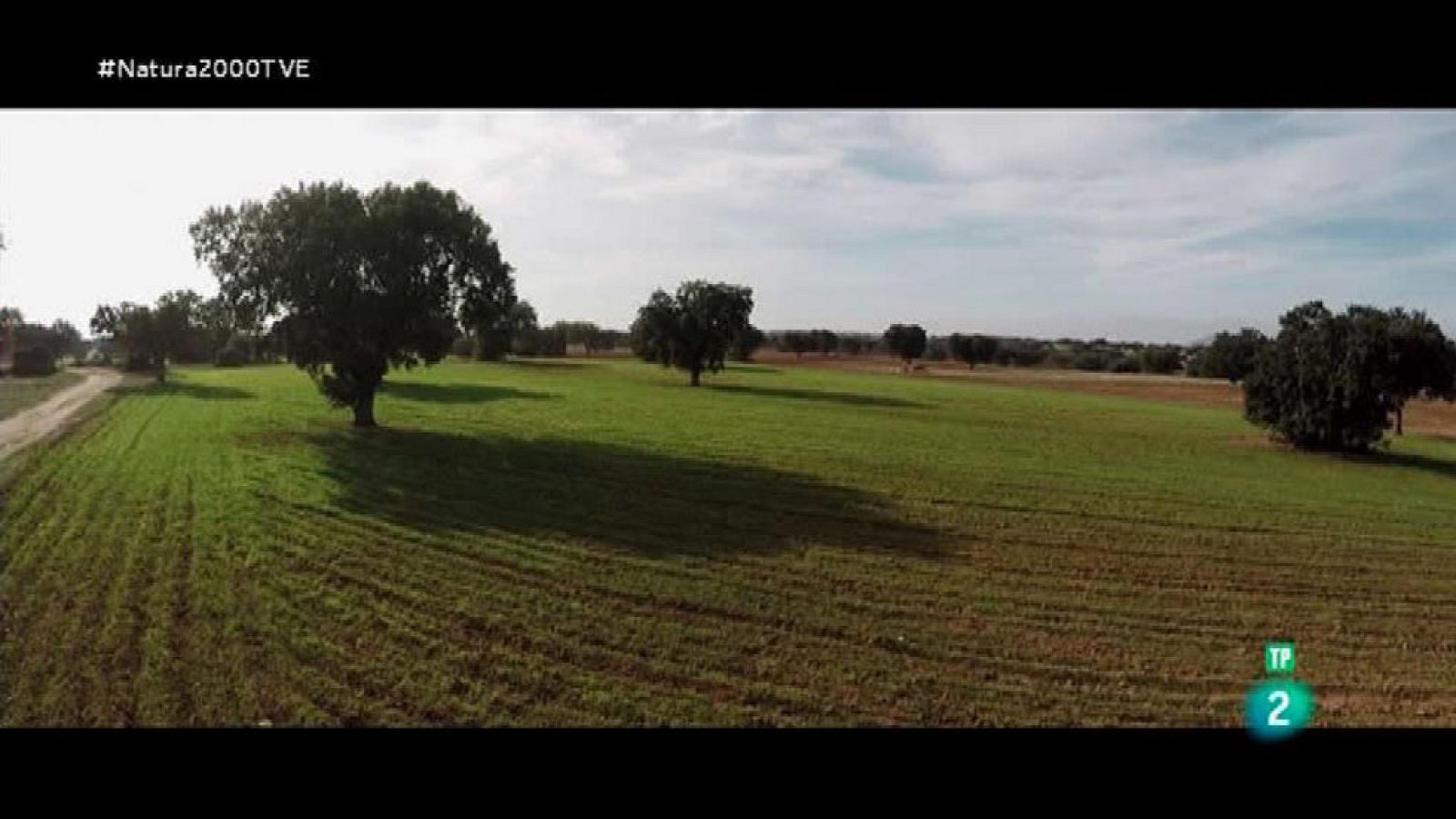 Red Natura 2000 - Rafael Final. Finca El Castañar