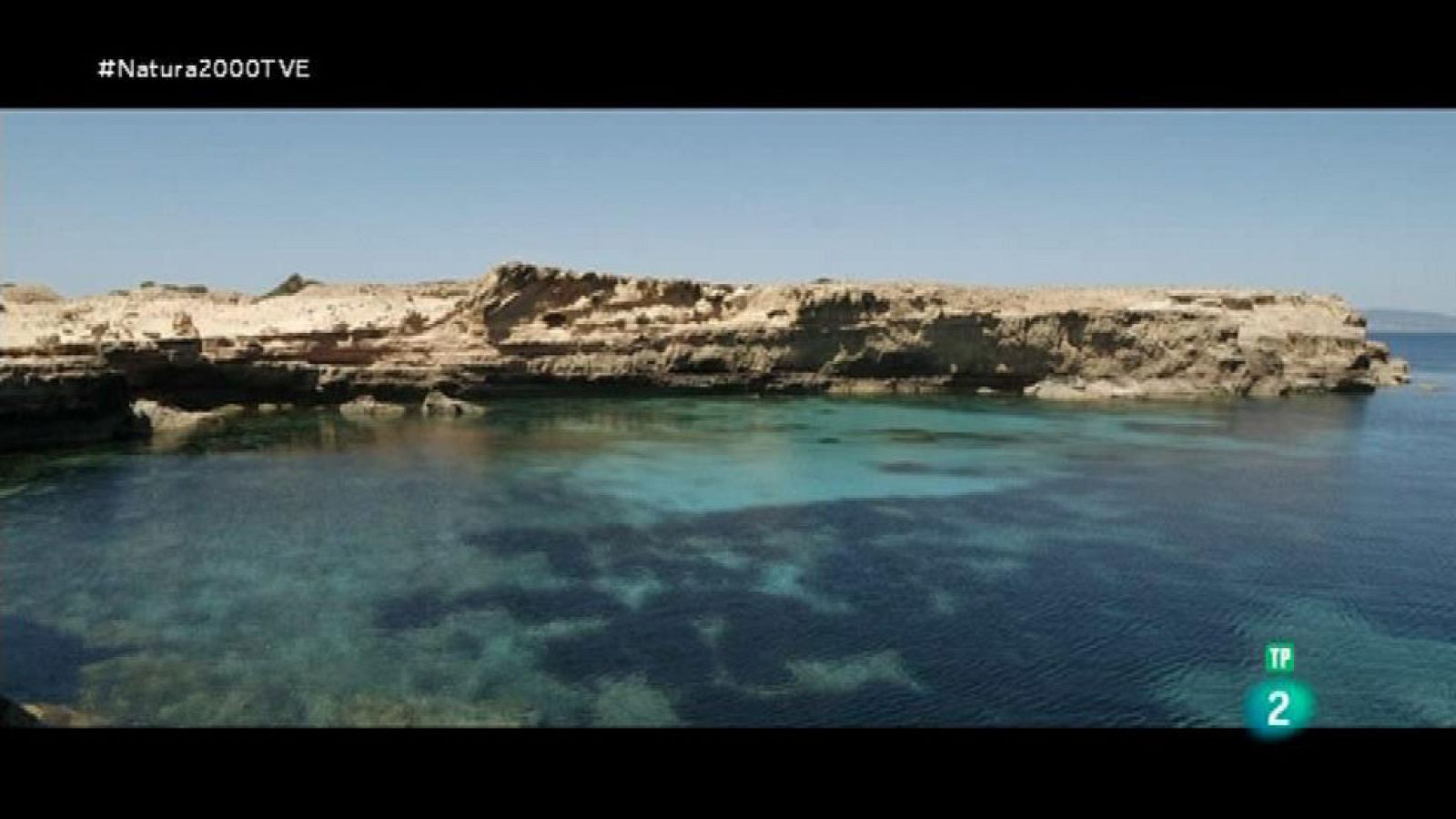 Red Natura 2000 - Enric Mayoral. Diseño joyas