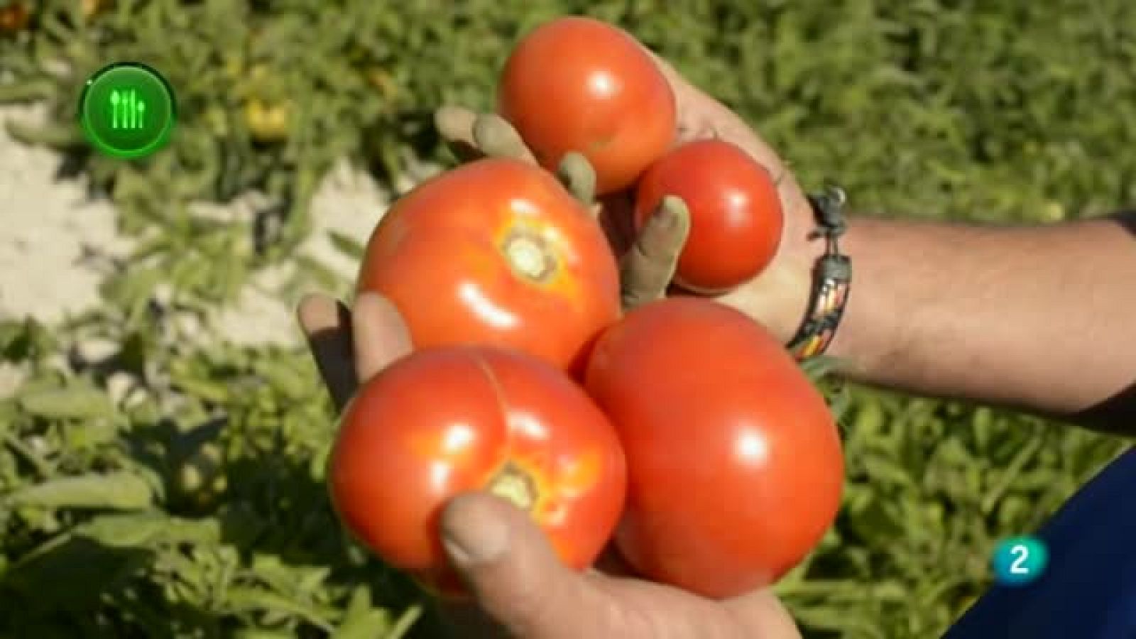 Agrosfera - Con mucho gusto - Alvalle