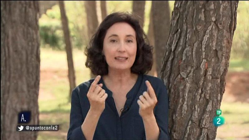 A punto con La 2 - A punto con Elsa - La bienvenida expr�s