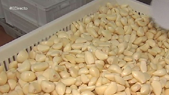 España Directo - En busca del ajo negro