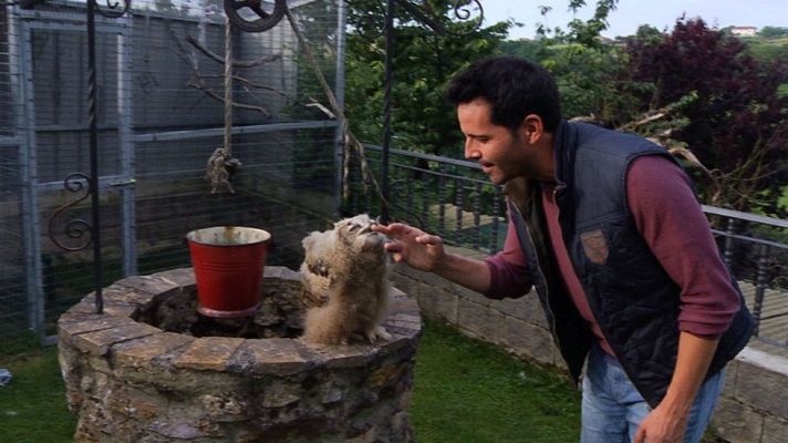 Aquí la Tierra - Animales menores de edad