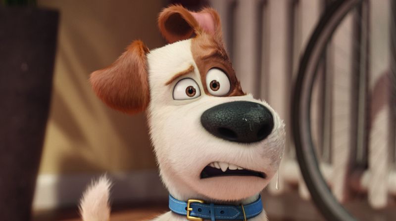 Tráiler de 'Mascotas' | Ver