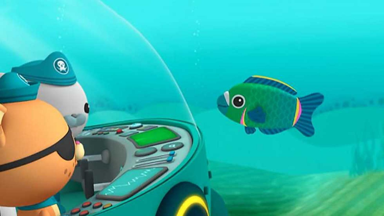 El pez loro pirata - Los Octonautas | Ver