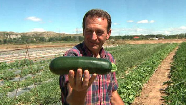 Aquí la Tierra - ¡Por fin tenemos calabacines!