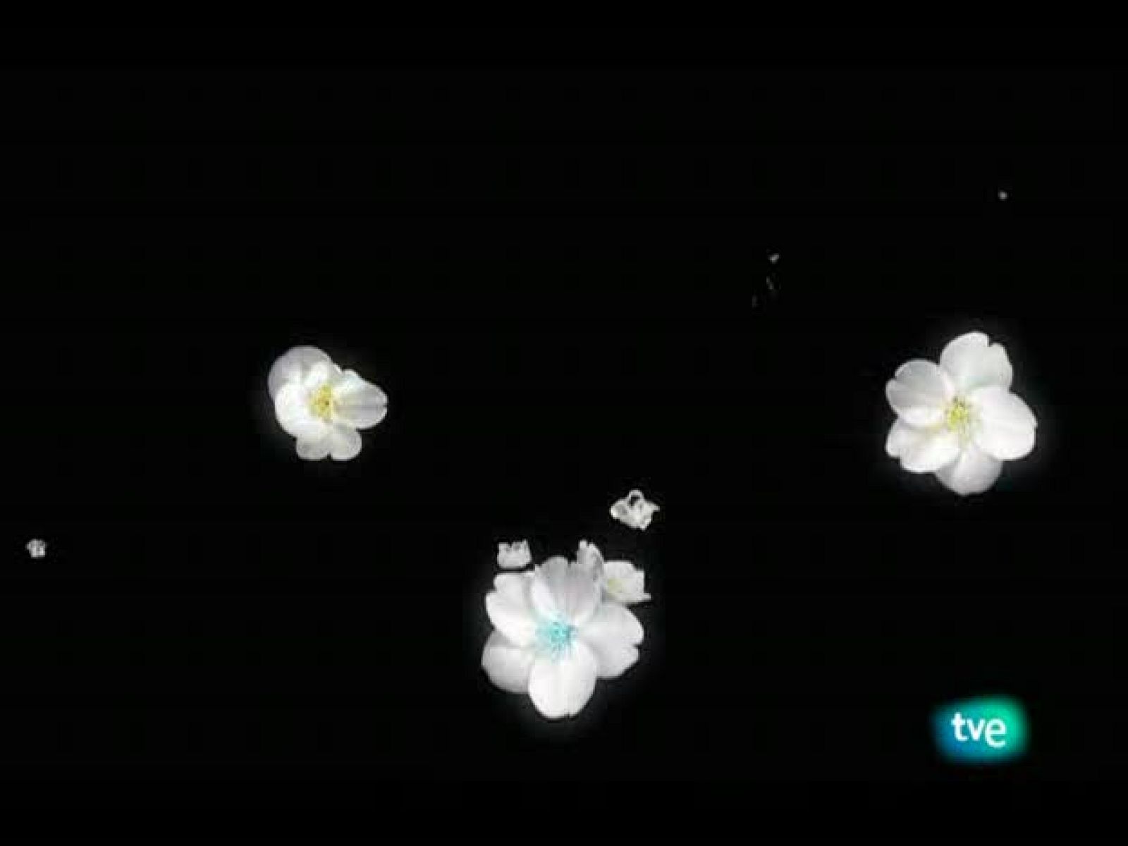 El jardín de los sueños - El Jardín de los Sueños | Ver