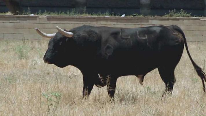 Encastes - Contreras