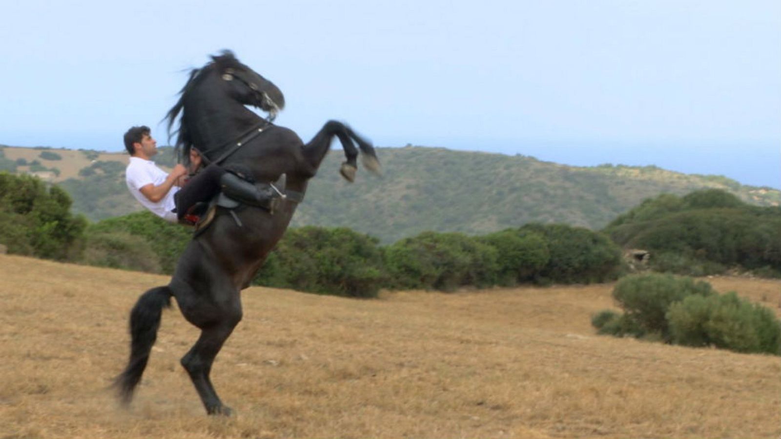 Caballos que brillan con luz propia