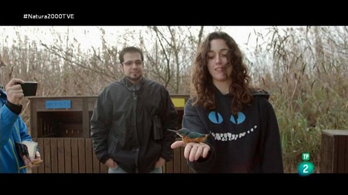 Red Natura 2000 - Ana Valentín. Anillamiento científico en el Tancat