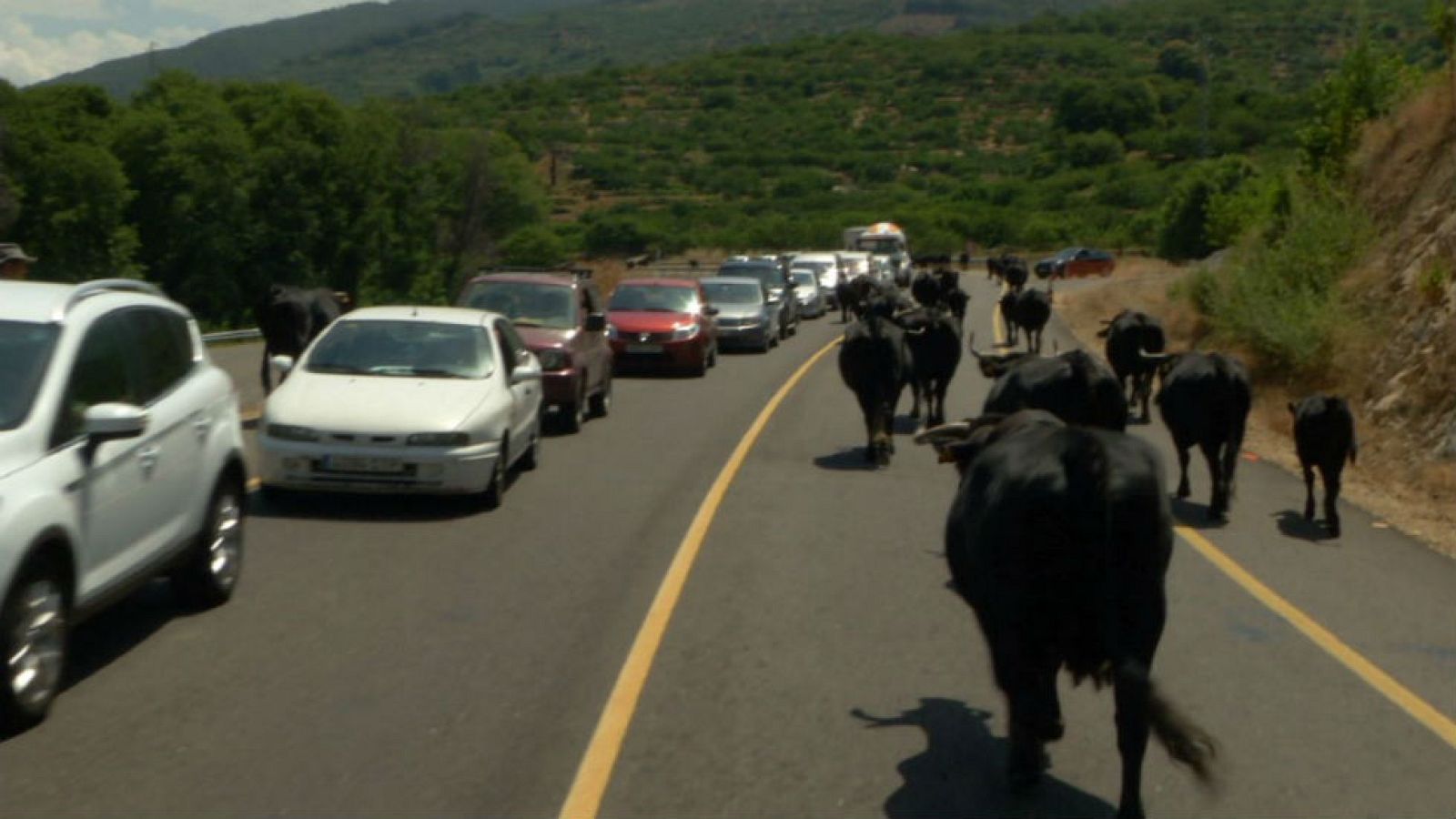 El viaje hasta la tierra prometida