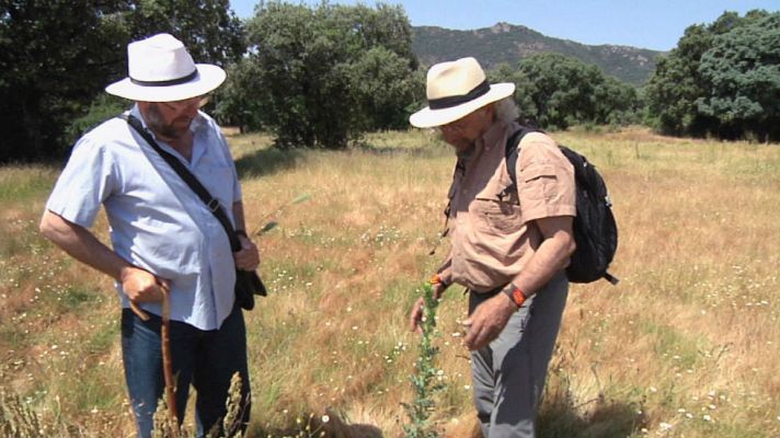Aquí la Tierra - Juan Plantas y la voz de la conciencia