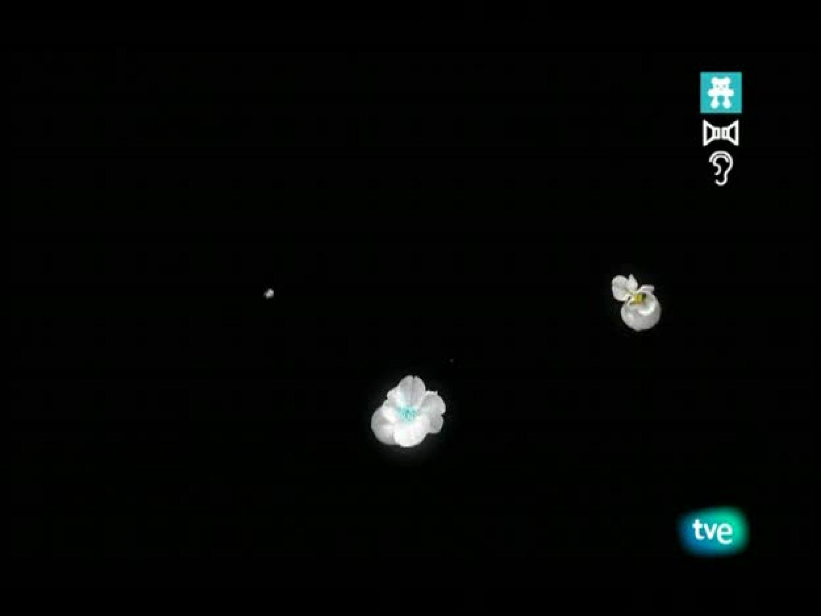 El jardín de los sueños - El Jardín de los Sueños | Ver