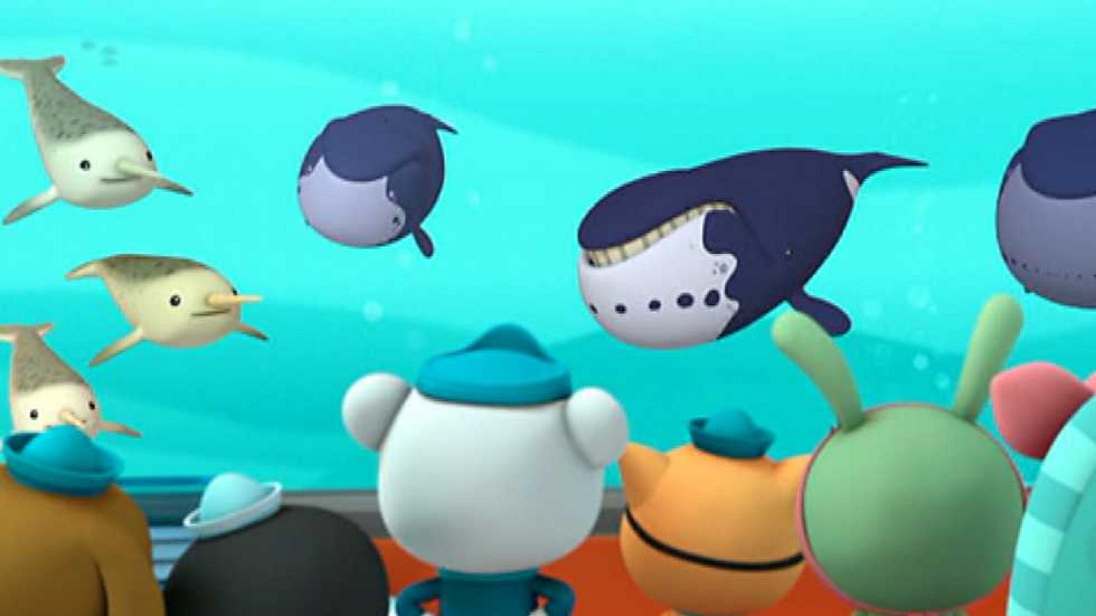 Las ballenas de Groenlandia - Los Octonautas | Ver