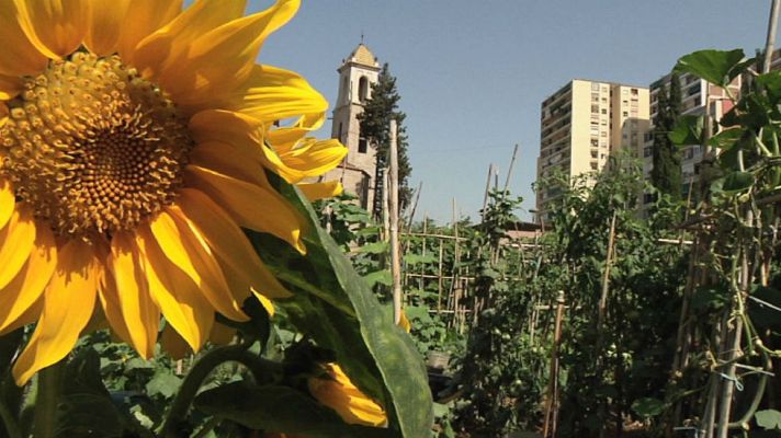 Aquí la Tierra - Huertos en el corazón de la ciudad