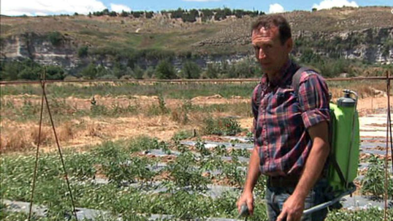 ¿Cómo conseguir una huerta sana?