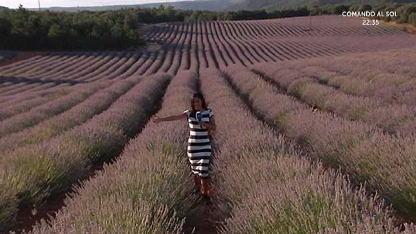 España Directo - 03/08/16 - ver ahora