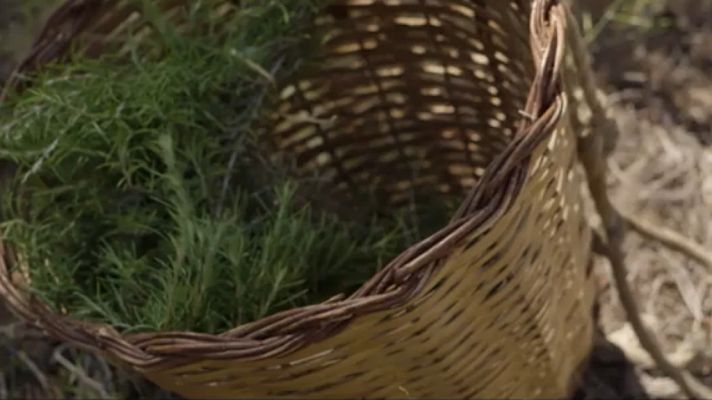 Red Natura 2000 - La Sierra de Espadán, en Castellón - avance