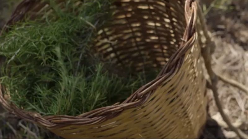 Red Natura 2000 - La Sierra de Espadán, en Castellón - avance