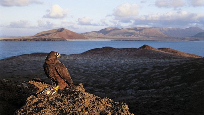 El tiempo - Suben los termómetros en Canarias y bajan algo en el resto
