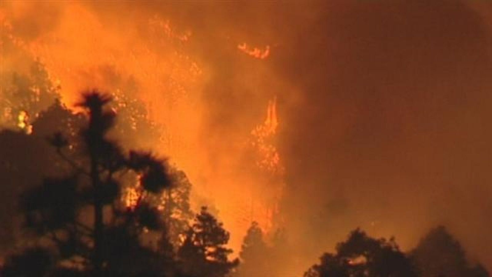 Telecanarias - 04/08/2016