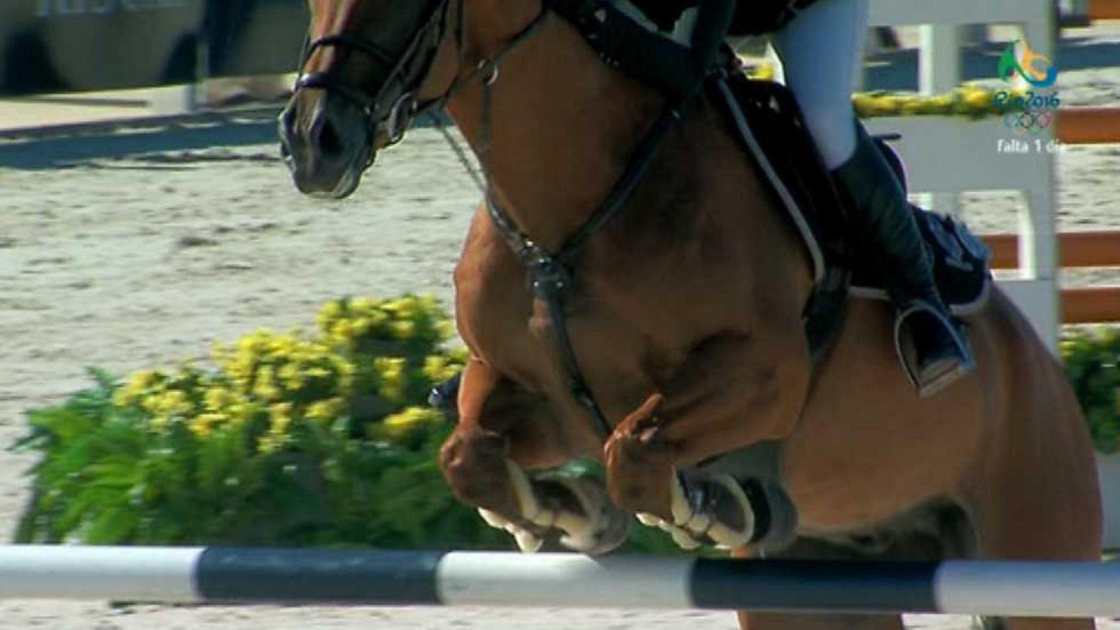 Hípica - Concurso de Saltos CSI A Coruña: Gran Premio Caixabank - ver ahora
