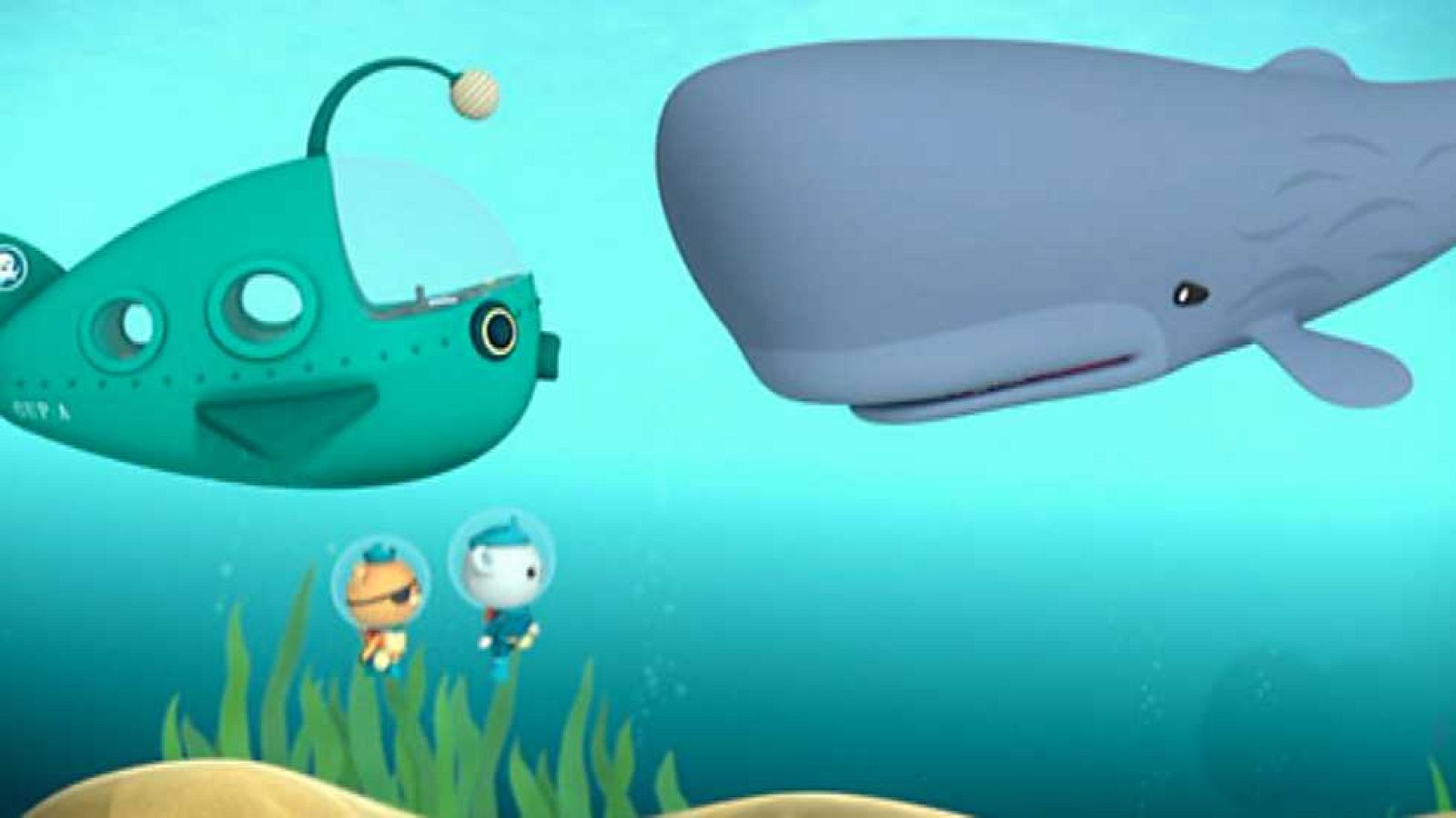 El cachalote asustado - Los Octonautas | Ver