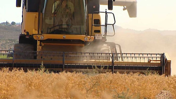 Informativo de Madrid - La Comunidad de Madrid en 4' - 05/08/16