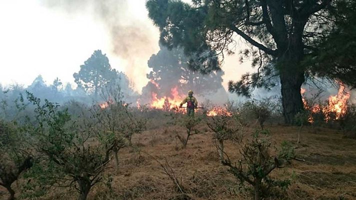 Telediario 1 - El incendio de La Palma ha arrasado más de 3.000 hectáreas y obligado a desalojar a 2.500 personas