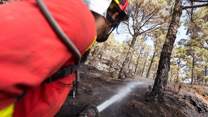Telediario 1 - Los equipos de emergencias trabajan por cuarto día para controlar en incendio en La Palma