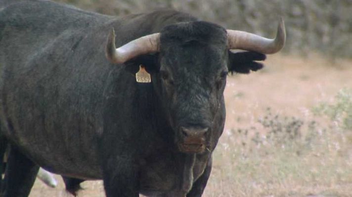 Encastes - Albaserrada