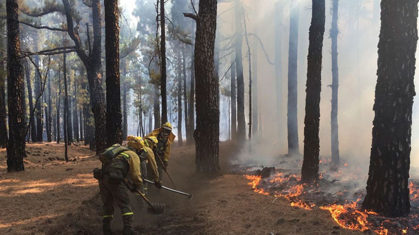 Estabilizado el incendio de La Palma en todos sus frentes mientras vuelven a casa los últimos desalojados