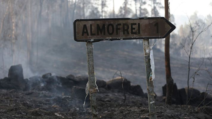 Telediario 1 - Telediario 1 en 4' - 09/08/16